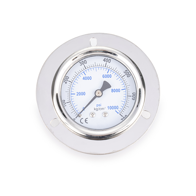 Gauge ng presyon ng langis