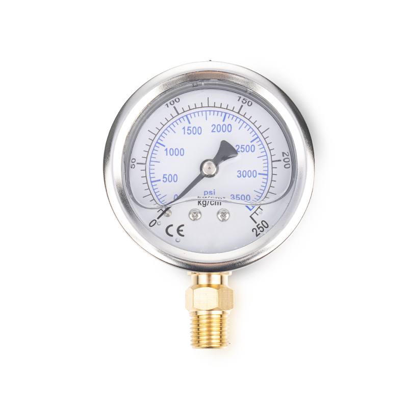 Gauge ng presyon ng langis