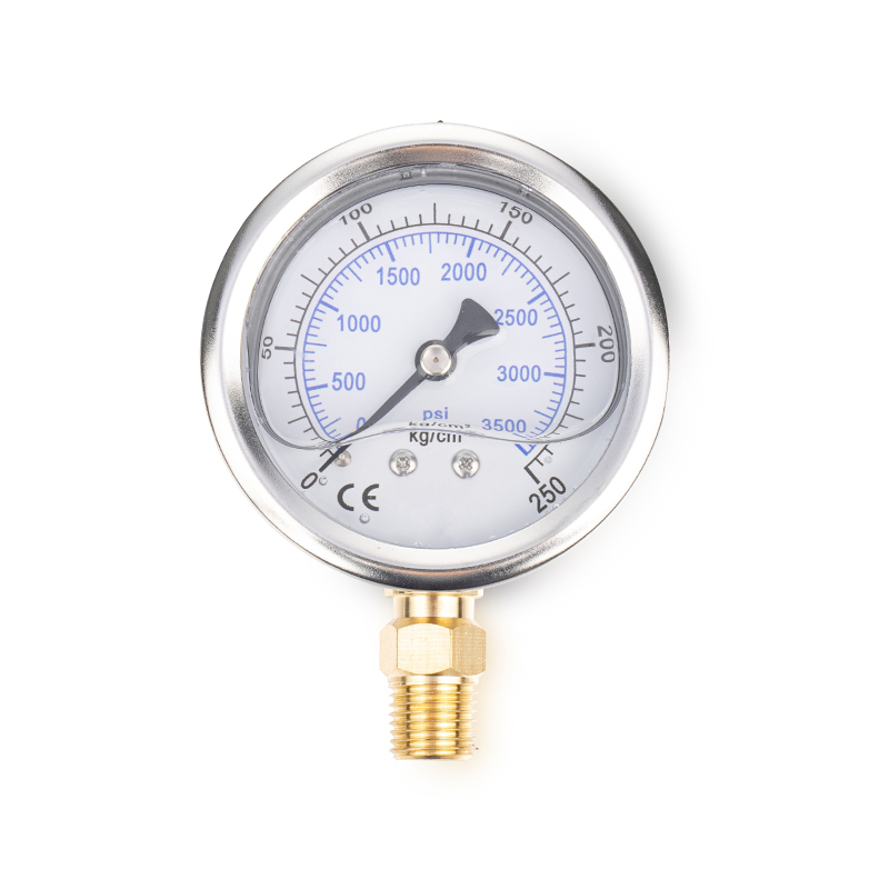 Gauge ng presyon ng langis