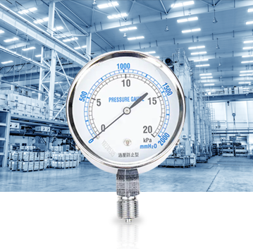 Industriya ng Produksyon ng Pang -industriya Pressure Gauges